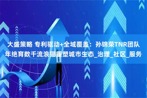 大盛策略 专利驱动+全域覆盖：孙锦荣TNR团队年绝育数千流浪猫重塑城市生态_治理_社区_服务