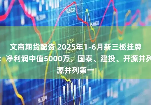 文商期货配资 2025年1-6月新三板挂牌综述:净利润中值5000万,国泰、建投、开源并列第一